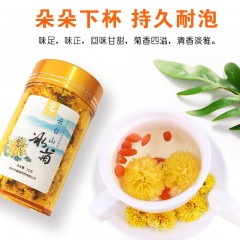 云台山冰菊20g