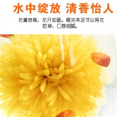 云台山冰菊20g