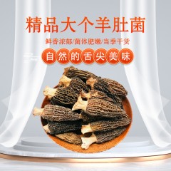 嵩州羊肚菌100g